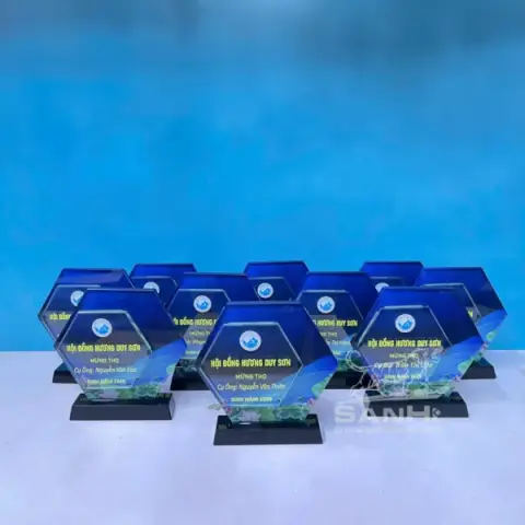 Kỷ niệm chương thủy tinh
