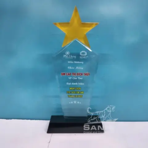 Kỷ niệm chương thủy tinh