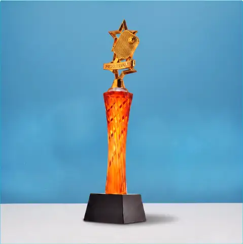Cúp Pickepall Đồng